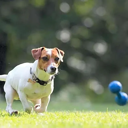 Hotel Le Rocher 4*