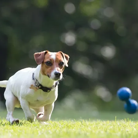 Le Rocher 4* シャンポルク