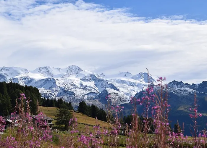 Le Rocher 4* שמפולוק